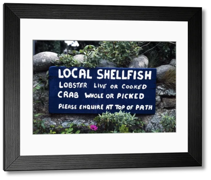 Framed Print : A sign advertising local shellfish in Bryher Framed Print : A sign advertising local shellfish in Bryher