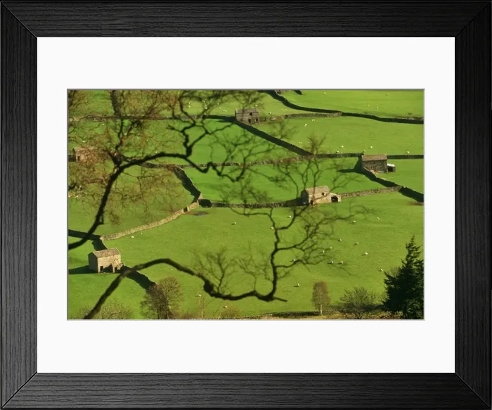 Framed Print : England, Yorkshire, Swaledale Framed Print : England, Yorkshire, Swaledale