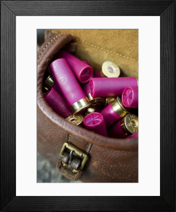 Framed Print : England. 12 bore shotgun cartridges in a Framed Print : England. 12 bore shotgun cartridges in a
