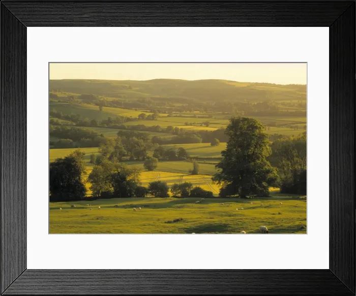 Framed Print : Cotswolds, England