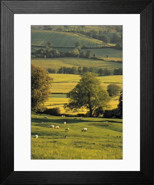 Framed Print : Cotswolds, England Framed Print : Cotswolds, England