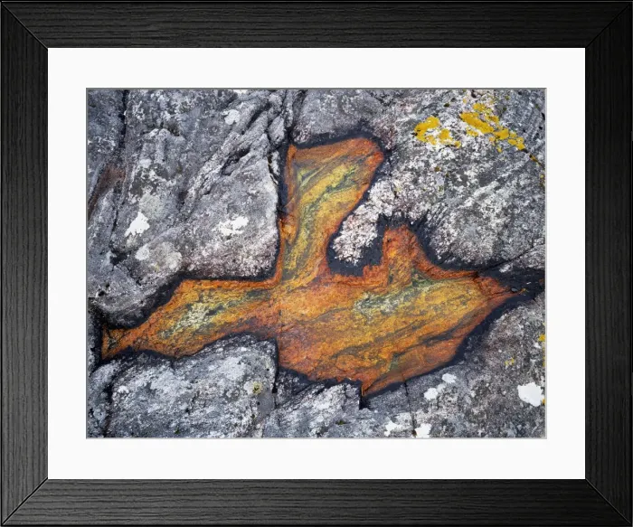 Framed Print : Lichen in a rock pool at Amhuinnsuidhe Framed Print : Lichen in a rock pool at Amhuinnsuidhe