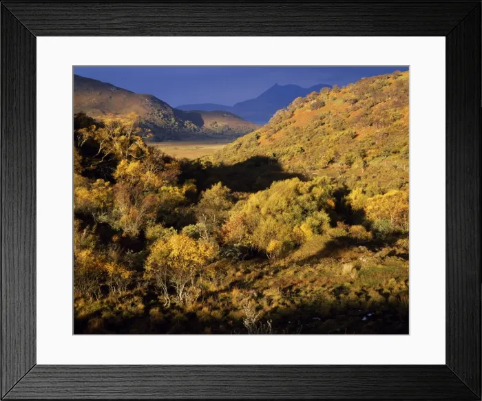 Framed Print : Tarskavaig and the Cuillins Framed Print : Tarskavaig and the Cuillins