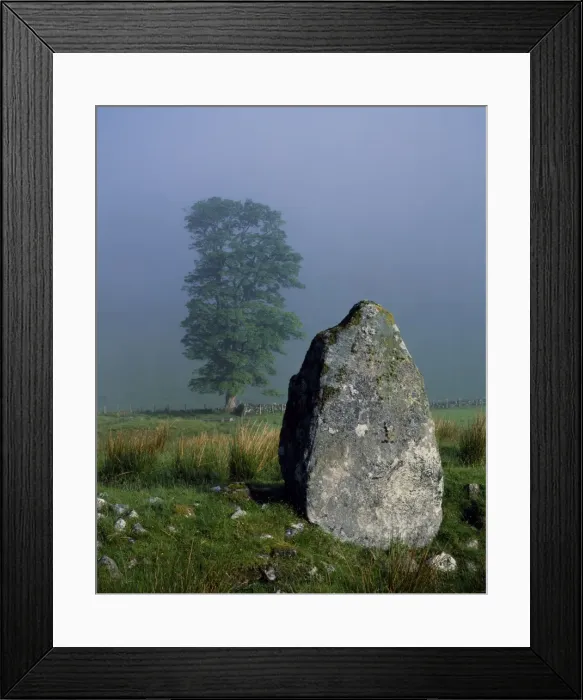 Framed Print : Standing stone and Oak tree Framed Print : Standing stone and Oak tree