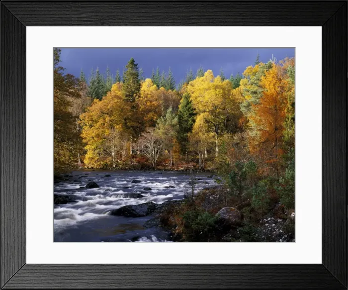 Framed Print : Autumn trees on River Garry Framed Print : Autumn trees on River Garry