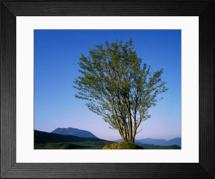 Framed Print : Black Mount