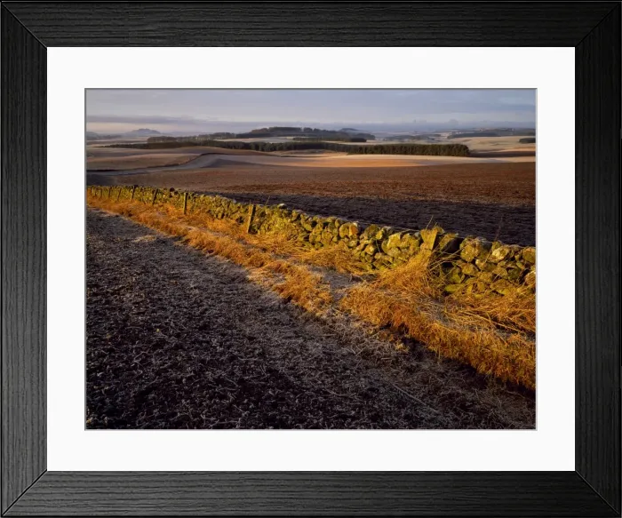 Framed Print : Rights Managed Framed Print : Rights Managed