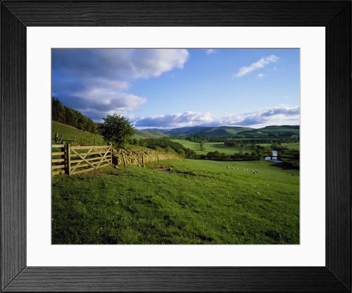 Framed Print : Dollar Law and Manor Valley Framed Print : Dollar Law and Manor Valley
