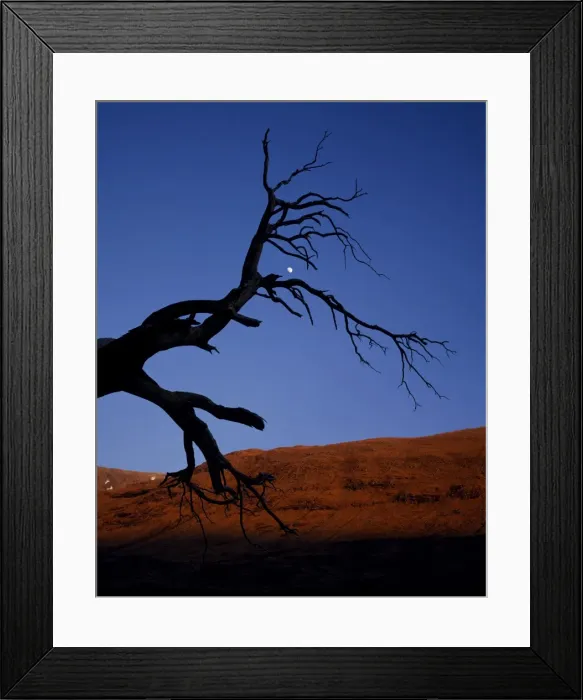 Framed Print : Dead tree in Glen Etive Framed Print : Dead tree in Glen Etive