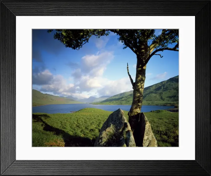 Framed Print : Loch Arklet Framed Print : Loch Arklet