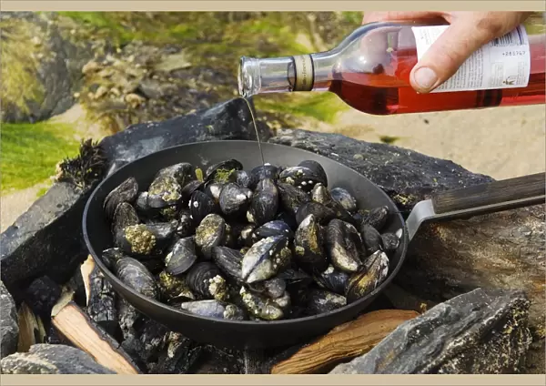Cooking mussels at a beach barbecue on Colonsay