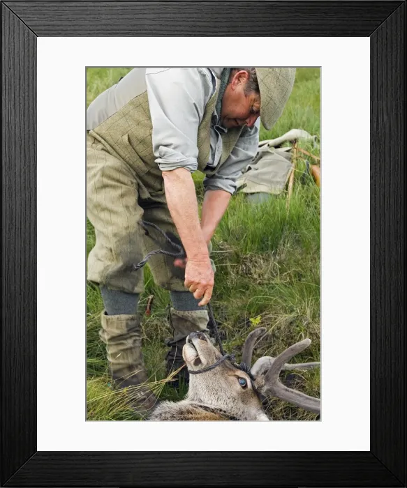 Framed Print : Benmore Estate stalker Framed Print : Benmore Estate stalker