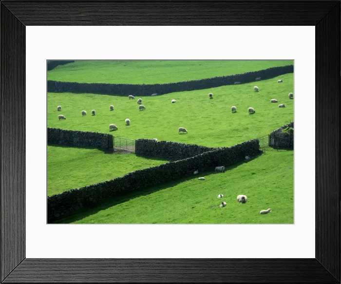 Framed Print : England, Yorkshire Framed Print : England, Yorkshire