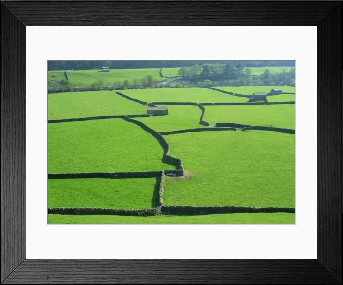 Framed Print : England, Yorkshire