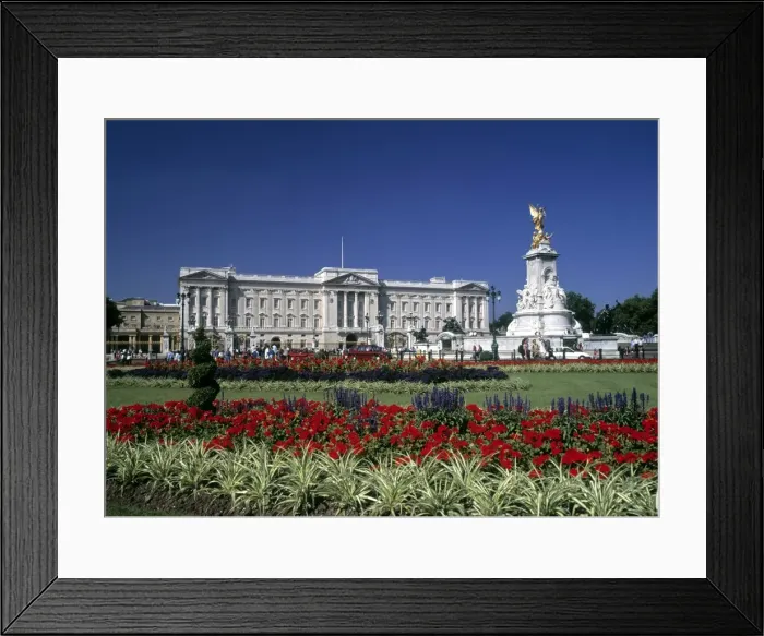 Framed Print : Buckingham Palace