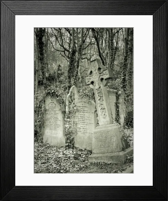 Framed Print : Highgate Cemetery Framed Print : Highgate Cemetery