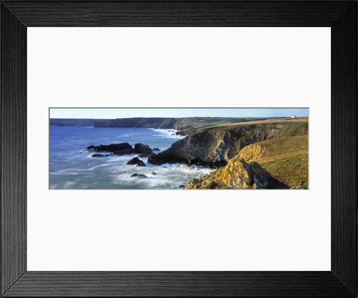 Framed Print : The Lizard Framed Print : The Lizard