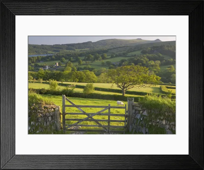 Framed Print : Sheepstor, Dartmoor Framed Print : Sheepstor, Dartmoor