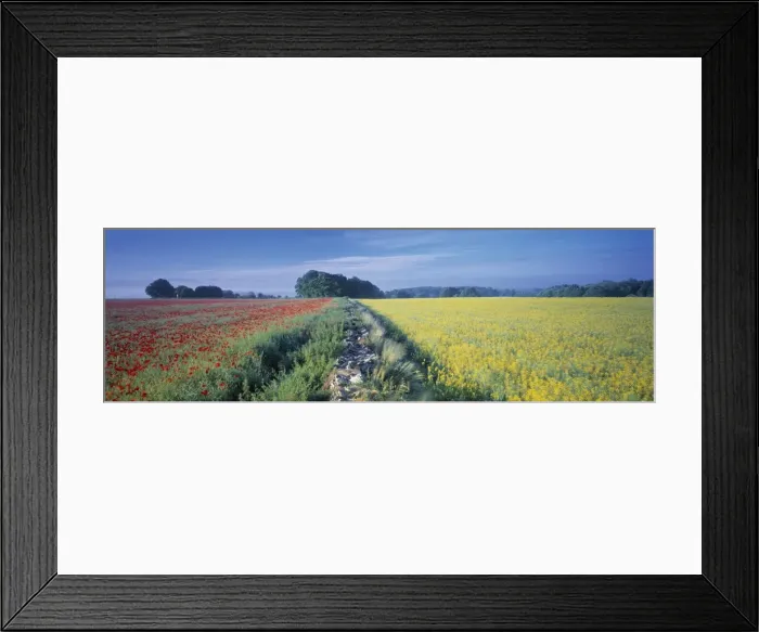 Framed Print : Rural landscape Framed Print : Rural landscape