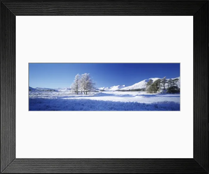 Framed Print : Blackmount Framed Print : Blackmount