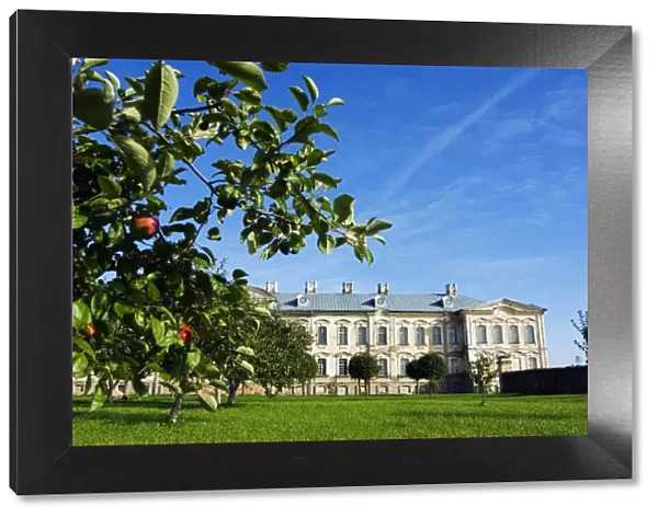 Apple trees in Palace Gardensof the Baroque Style Rundales Palace