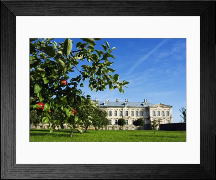 Framed Print : Apple trees in Palace Gardensof the Baroque Style Rundales Palace Framed Print : Apple trees in Palace Gardensof the Baroque Style Rundales Palace