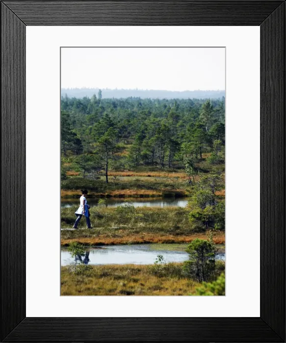Framed Print : Protected Land of Bogs and Marshes, Kemeri National Park Framed Print : Protected Land of Bogs and Marshes, Kemeri National Park