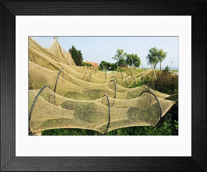 Framed Print : Lithuania, Curonian Spit Framed Print : Lithuania, Curonian Spit
