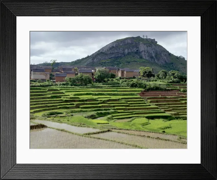 Framed Print : Paddy fields close to a small village near Fianarantsoa Framed Print : Paddy fields close to a small village near Fianarantsoa