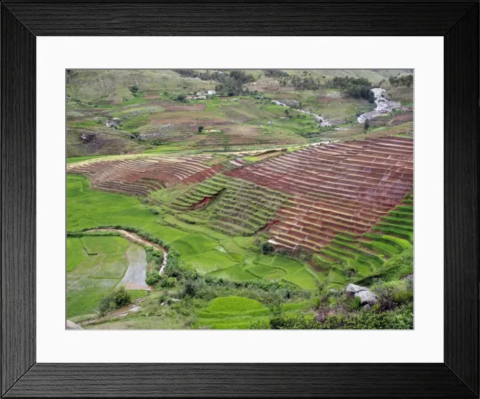 Framed Print : Madagascar Framed Print : Madagascar