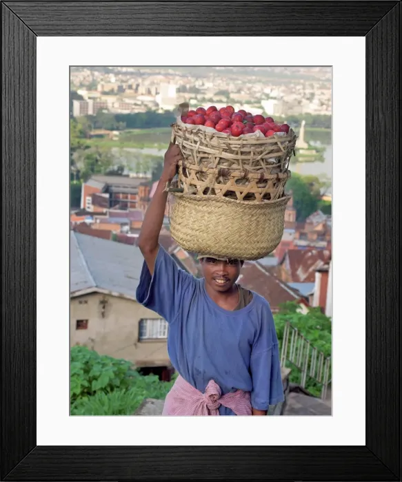 Framed Print : A plum seller in Antananarivo Framed Print : A plum seller in Antananarivo