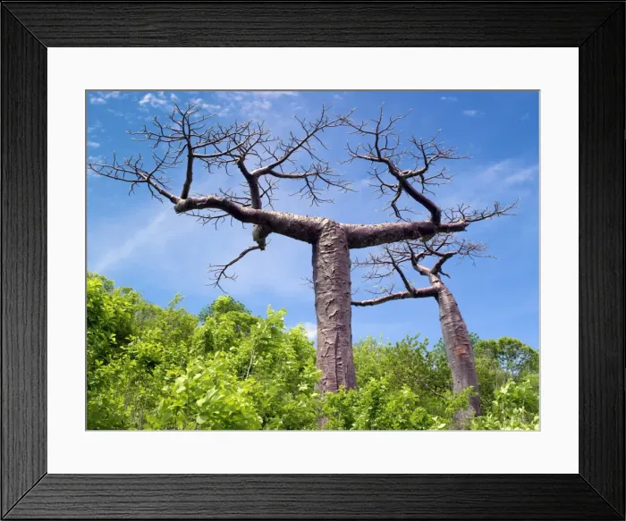 Framed Print : Madagascar, Northern Madagascar