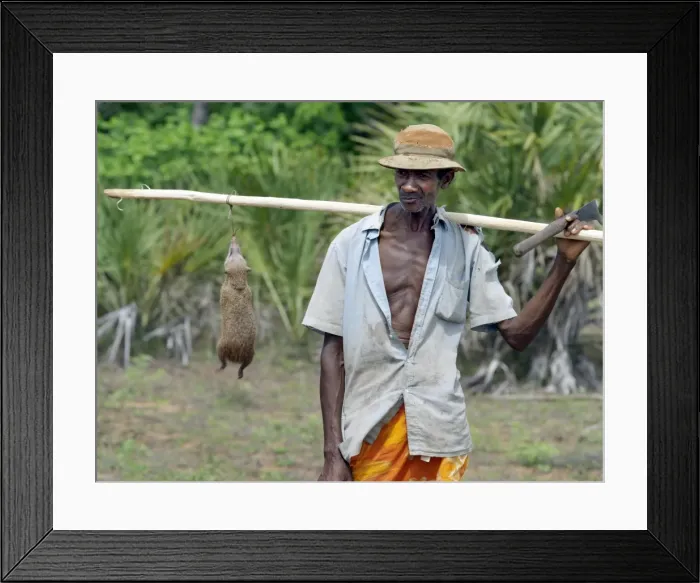 Framed Print : Madagascar, Northern Madagascar Framed Print : Madagascar, Northern Madagascar