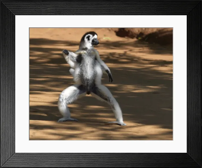 Framed Print : Rights Managed Framed Print : Rights Managed