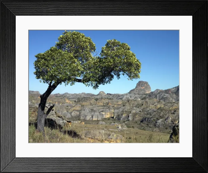 Framed Print : Sandstone rock formations in the Isalo National Park Framed Print : Sandstone rock formations in the Isalo National Park