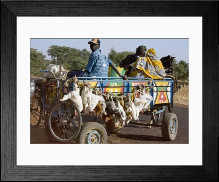Framed Print : Mali, Djenn A farmer sets off in his horse-drawn cart Framed Print : Mali, Djenn A farmer sets off in his horse-drawn cart