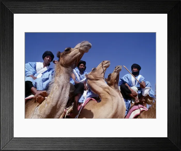Framed Print : Meharistes, Soldiers Of The Desert, annual camel race Framed Print : Meharistes, Soldiers Of The Desert, annual camel race