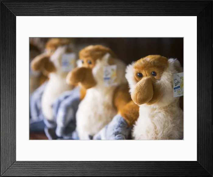 Framed Print : Proboscus monkey dolls for sale in gift shop in Kota Kinabalu Framed Print : Proboscus monkey dolls for sale in gift shop in Kota Kinabalu