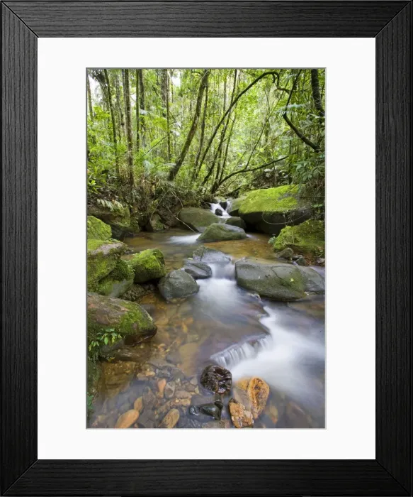 Framed Print : Rainforest and waterfall in biopark near the entrance Framed Print : Rainforest and waterfall in biopark near the entrance