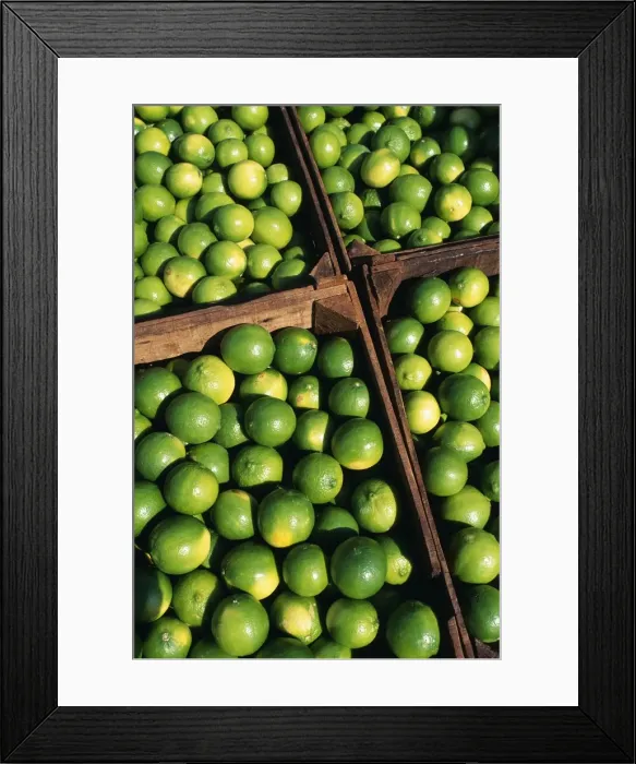 Framed Print : Boxes of limes Framed Print : Boxes of limes