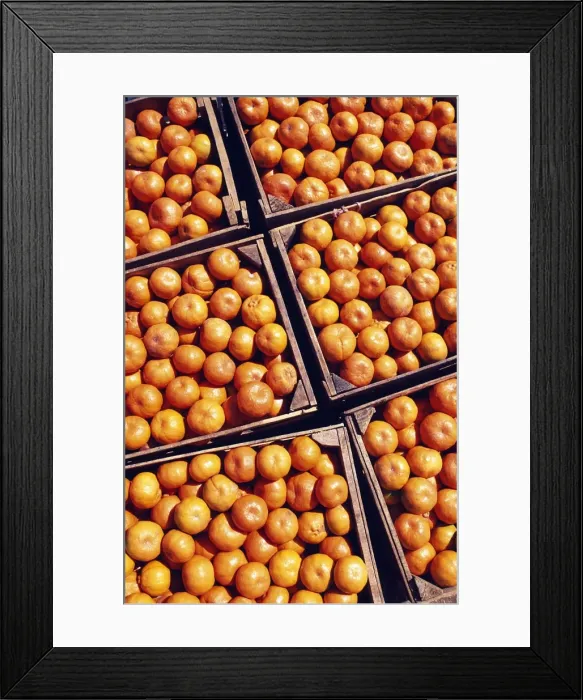 Framed Print : Boxes of Satsumas Framed Print : Boxes of Satsumas
