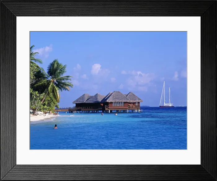 Framed Print : Rights Managed Framed Print : Rights Managed