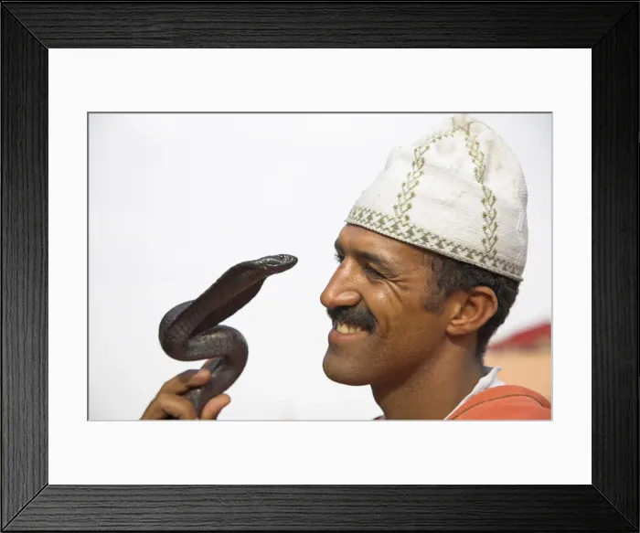 Framed Print : A snake charmer performs in the Djemaa el Fna, Marrakech Framed Print : A snake charmer performs in the Djemaa el Fna, Marrakech