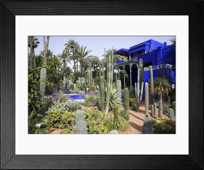 Framed Print : The sub-tropical Jardin Majorelle in the Ville Nouvelle of Marrakech Framed Print : The sub-tropical Jardin Majorelle in the Ville Nouvelle of Marrakech