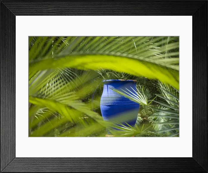 Framed Print : Morocco, Marrakech, Jardin Majorelle