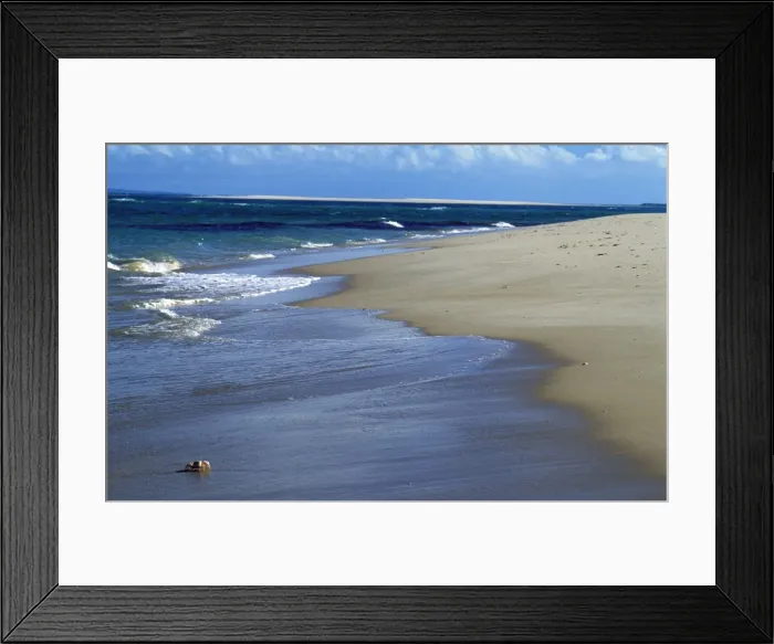Framed Print : Crabs on the beach Framed Print : Crabs on the beach