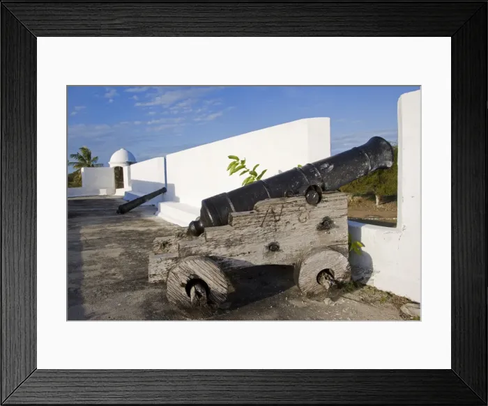 Framed Print : The Fortaleza de Sao Joao Baptista Framed Print : The Fortaleza de Sao Joao Baptista