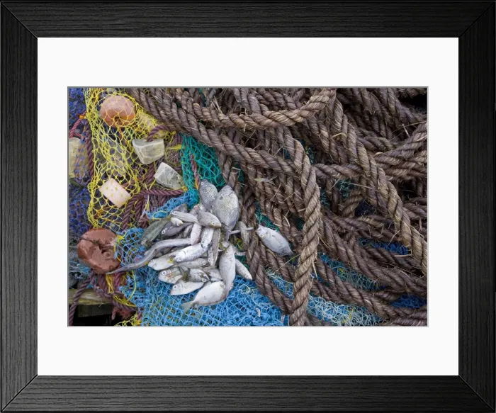 Framed Print : A fisherman unloads his catch in the harbour of Ibo Island