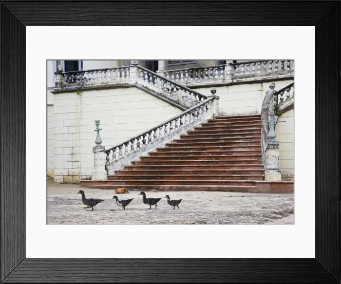 Framed Print : Crumbling colonial villas on Ilha do Mozambique