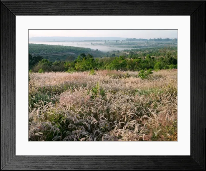 Framed Print : Early morning mist in the forests of Central Malawi Framed Print : Early morning mist in the forests of Central Malawi